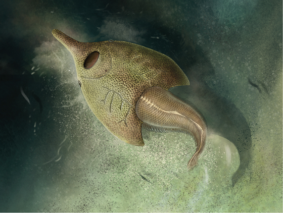 山东科大本科生发现4.1亿年前”鸭吻鱼”