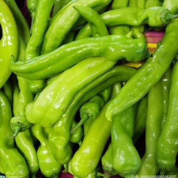 河南省粮油蔬菜市场上周价格稳中有涨 