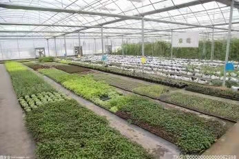 陕西省榆林市榆阳区气象局提醒广大农户做好蔬菜防护措施