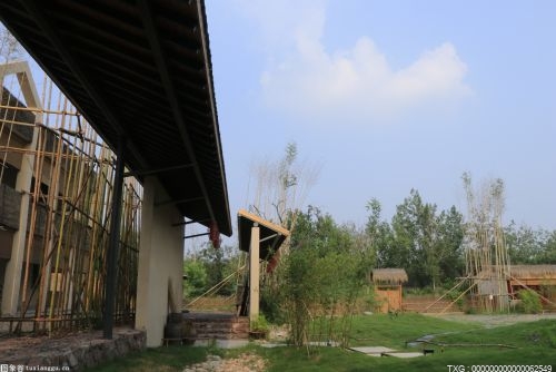 云南昆明市采取多项措施不断加大保护力度 湿地保护工作取得显著成效