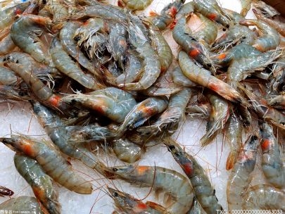 2022年珠江流域开展禁渔期联合执法巡航 禁渔期正式开始